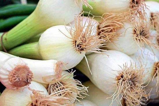 Những lưu ý khi lựa chọn, bảo quản, sử dụng hành lá