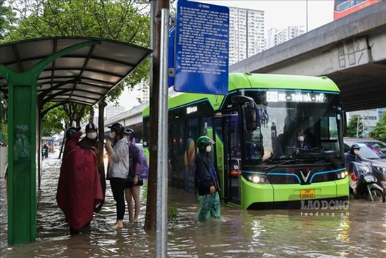 Chuyên gia đánh giá việc dùng ruộng, sân vận động, xây bể ngầm chống ngập