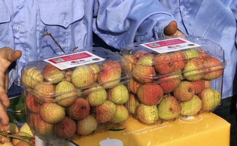 Vải thiều 200 nghìn/kg: Hàng xuất Nhật, khách nội hiếm được ăn-2