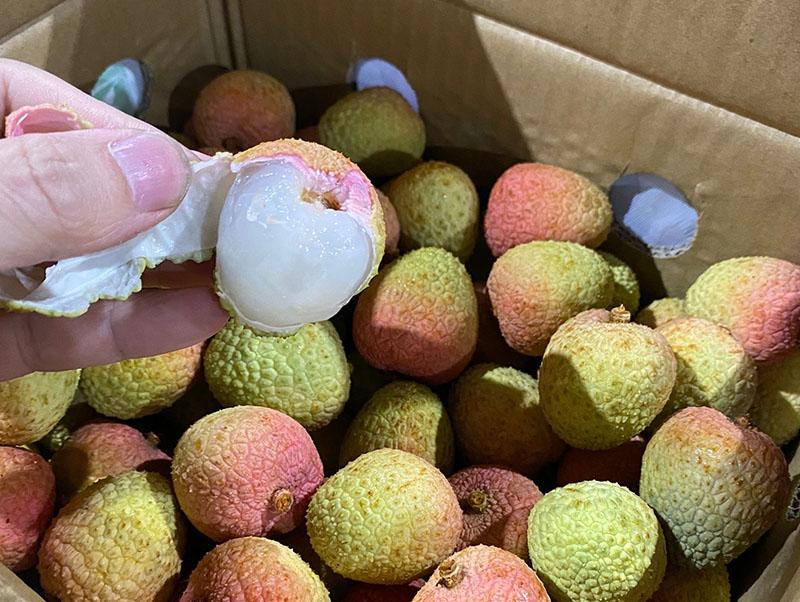 Vải thiều 200 nghìn/kg: Hàng xuất Nhật, khách nội hiếm được ăn-4