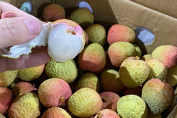 Bắc Giang lên tiếng về thông tin vải thiều giá 5 nghìn đồng/kg-3