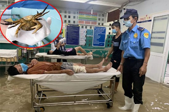 Mưa ngập, bác sĩ TP.HCM bắt cua trong khoa cấp cứu