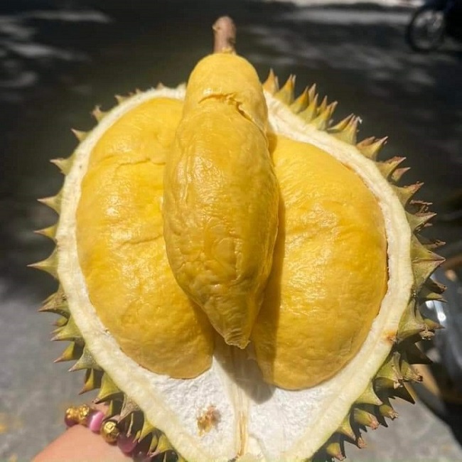 Sầu riêng rớt giá một nửa so với đầu vụ, Ri 6 chỉ còn từ 32 nghìn đồng/kg-1