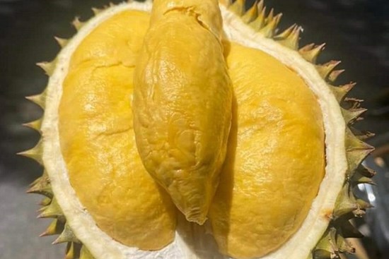 Sầu riêng rớt giá một nửa so với đầu vụ, Ri 6 chỉ còn từ 32 nghìn đồng/kg