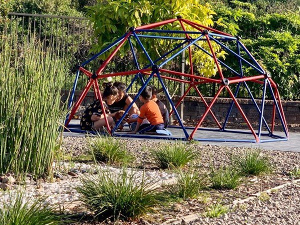 Diễn viên Diệu Hương viên mãn trong không gian ngập hoa và cây cối khi theo chồng sang Mỹ định cư-2