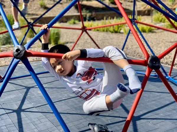 Diễn viên Diệu Hương viên mãn trong không gian ngập hoa và cây cối khi theo chồng sang Mỹ định cư-5