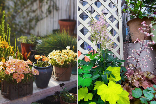 Ngôi nhà ở Bình Dương đẹp hút mắt, bể bơi trong veo bên vườn cây rì rào-11