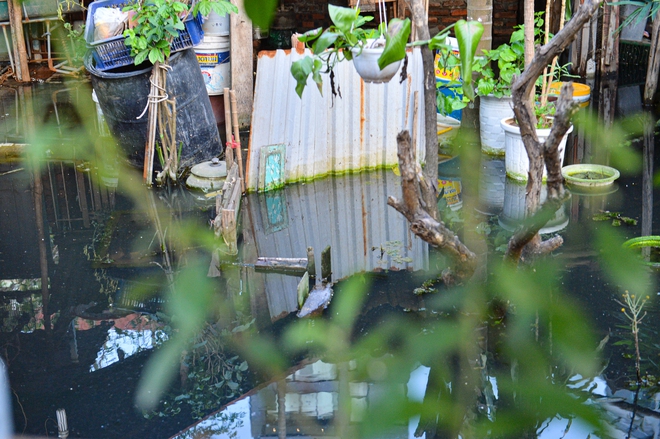 Hà Nội: Một tuần sau mưa lớn, cuộc sống của hàng trăm người dân ở quận Tây Hồ vẫn đảo lộn do ngập sâu-6