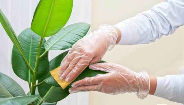 Dầu gội đầu đã hết hạn sử dụng lại có 8 công dụng tuyệt vời này, giữ lại dùng giúp tiết kiệm được kha khá tiền-5