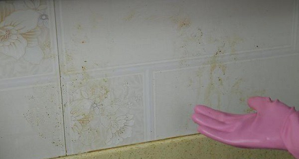 Hòa kem đánh răng vào rượu trắng, giải quyết ngay nhiều vấn đề khó nhằn trong nhà-3