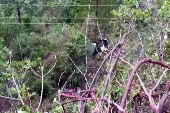 Xe bus rơi xuống hẻm núi khiến 26 người thiệt mạng tại Ấn Độ