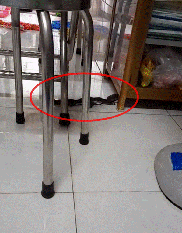 Cả họ nhà chuột làm đám cưới trong nhà, người kêu may mắn, kẻ khuyên gia chủ xả xui-1