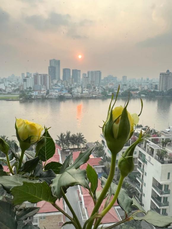 Lý Thanh Thảo Mùi ngò gai khoe khu vườn hoa hồng ngoài ban công, dân tình trầm trồ vì góc chill quá xinh xắn-11