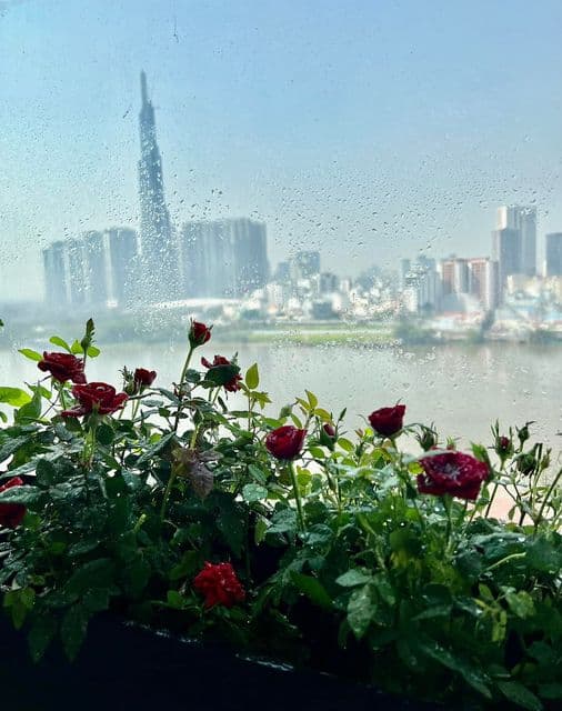 Lý Thanh Thảo Mùi ngò gai khoe khu vườn hoa hồng ngoài ban công, dân tình trầm trồ vì góc chill quá xinh xắn-19