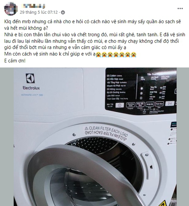 Máy sấy quần áo có sinh vật lạ chui vào, khổ chủ than trời vì mùi hôi mãi không hết-2