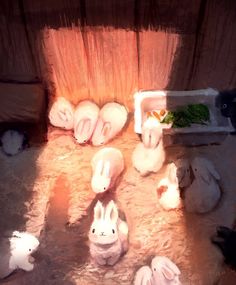 Những chiều hè vặt lá sắn dây về nuôi thỏ và cú sốc đầu đời của doanh nhân nhí-2