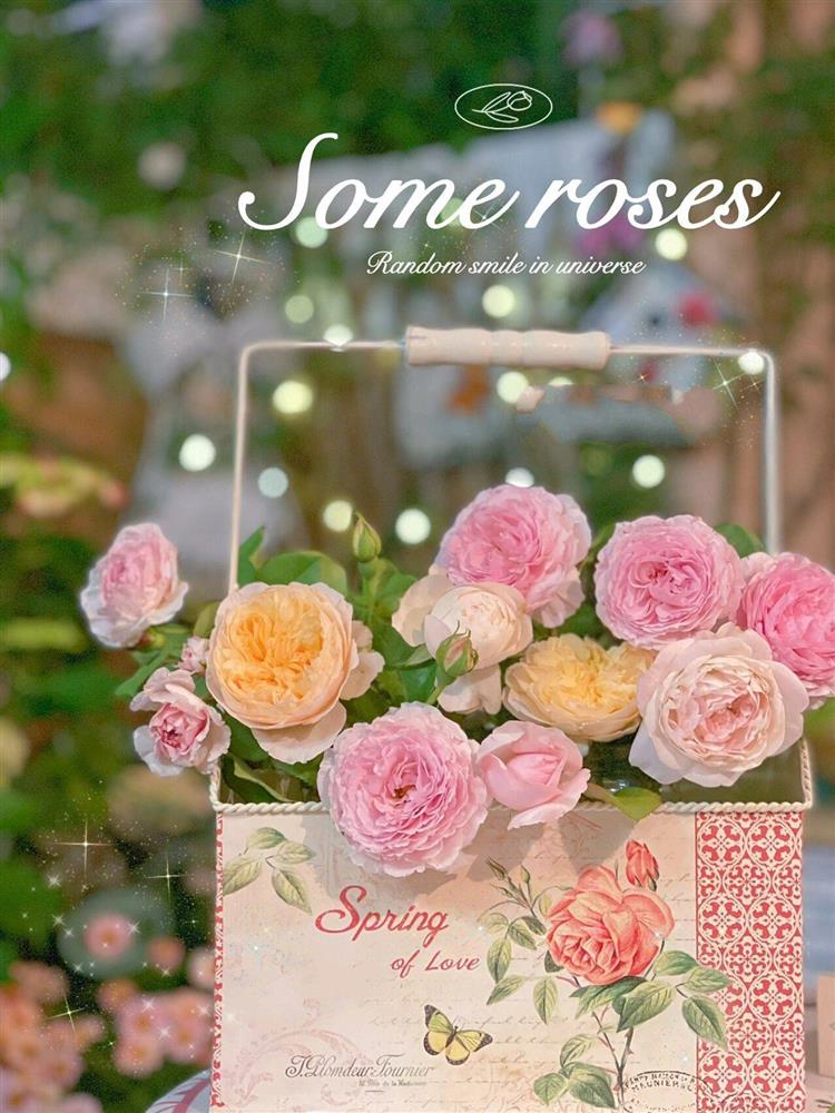 Khu vườn sân thượng 20m² đẹp như vừa bước ra từ trong truyện cổ tích-10