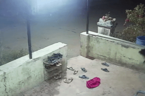 Báo hoa mai phi thân hạ gục người đàn ông đạp xe trên đường-1