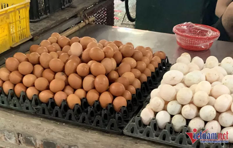Nghịch lý trứng gà: Miền Bắc giảm giá, phía Nam tăng như lên đồng-1