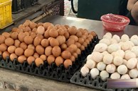 Nghịch lý trứng gà: Miền Bắc giảm giá, phía Nam tăng như 'lên đồng'