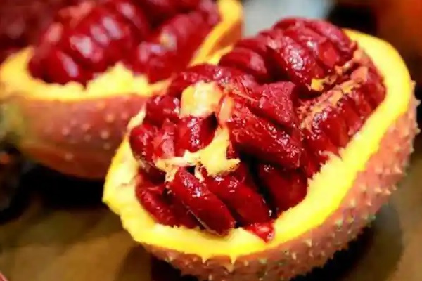 Loại quả quê có khả năng sản xuất collagen, xóa nếp nhăn còn là thuốc bổ cho sĩ tử mùa thi-2