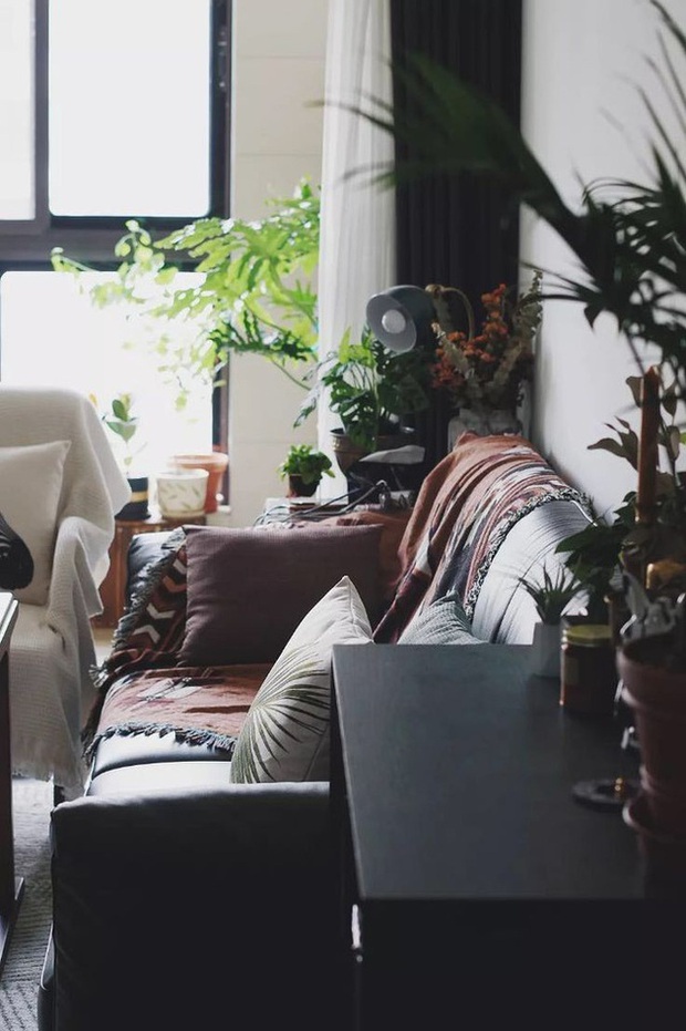 Cô gái trẻ mạnh dạn tự cải tạo, biến căn hộ thành khu vườn trong lành-21