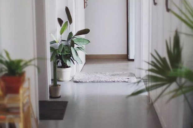 Cô gái trẻ mạnh dạn tự cải tạo, biến căn hộ thành khu vườn trong lành-23