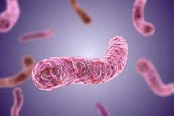 Vì sao người mắc bệnh Whitmore có nguy cơ tử vong cao?-4