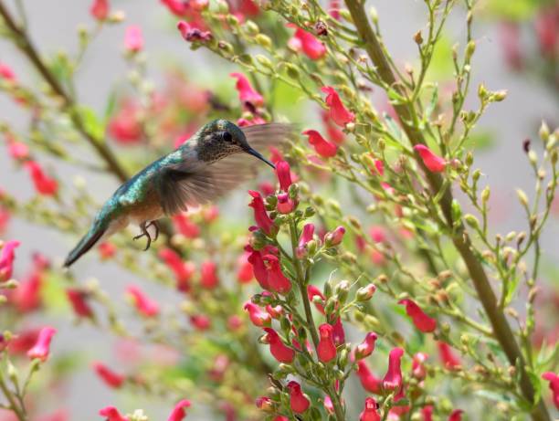 Ai sinh tháng Âm lịch này, cuộc đời thăng trầm, vinh hoa phú quý không tự đến-3