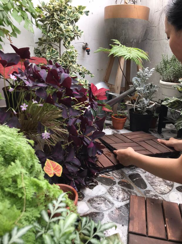 Cặp vợ chồng cải tạo ban công nhỏ thành nơi ngập cây xanh và gió mát chỉ với 5 triệu đồng-5