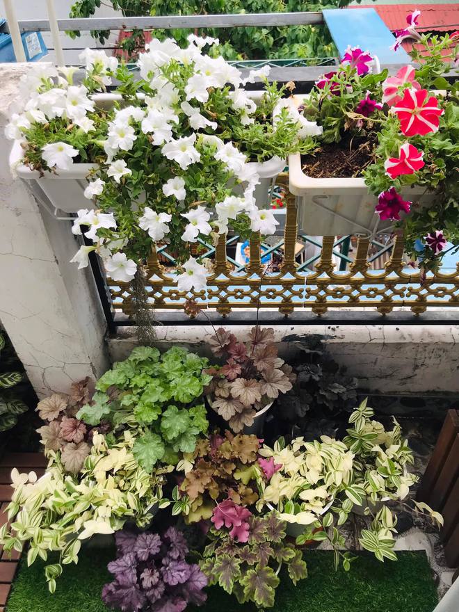 Cặp vợ chồng cải tạo ban công nhỏ thành nơi ngập cây xanh và gió mát chỉ với 5 triệu đồng-12