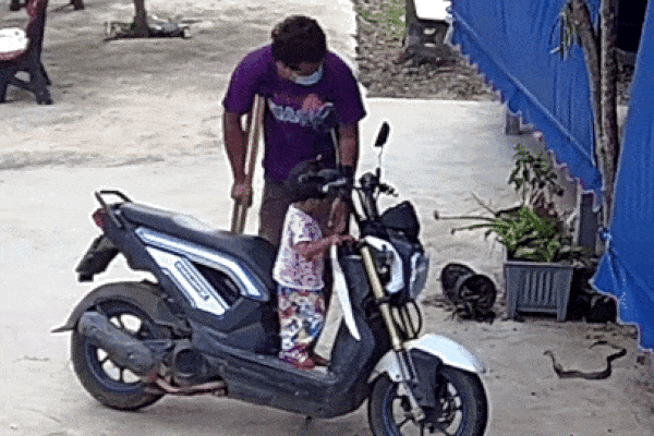 Thót tim cảnh đười ươi giận dữ túm áo, kéo chân du khách lôi vào chuồng vì bị chế nhạo-1