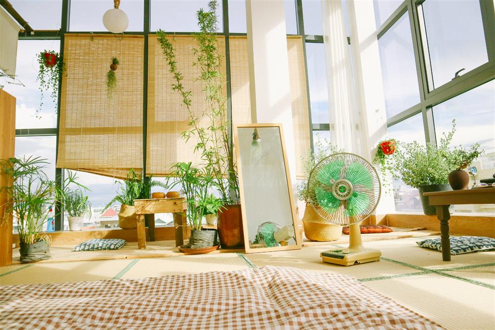 Bí quyết trồng cây trong nhà và không gian sống ngập tràn thiên nhiên của cô gái trẻ-4