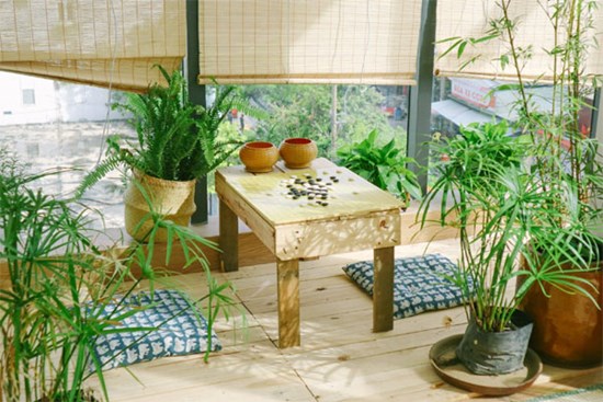 Bí quyết trồng cây trong nhà và không gian sống ngập tràn thiên nhiên của cô gái trẻ
