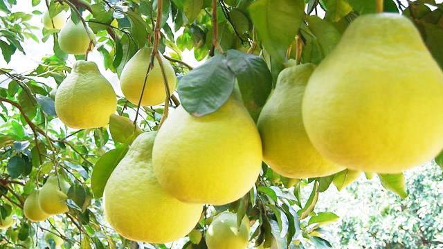 Kỳ lạ cổ trấn nổi trên mặt nước ở Trung Quốc: Chỉ di chuyển bằng thuyền, là thiên đường dành cho phái nữ muốn giảm cân-8