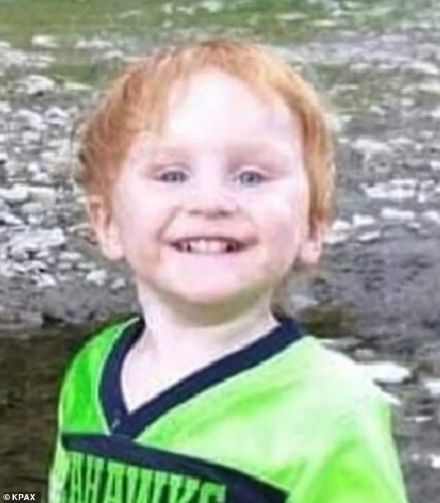 Bé trai 4 tuổi sống sót kỳ diệu sau 2 ngày mất tích, nơi được tìm thấy khiến người lớn kinh ngạc-3