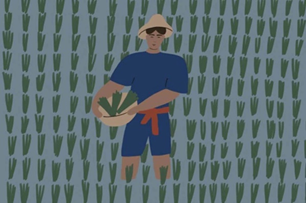 Vì sao người mắc bệnh Whitmore có nguy cơ tử vong cao?-3