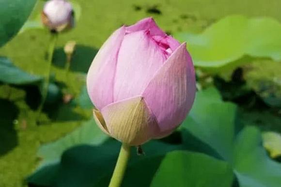 Trong 4 tháng tới, 3 con giáp mọi việc suôn sẻ, tiền bạc rủng rỉnh, tài lộc dồi dào-3