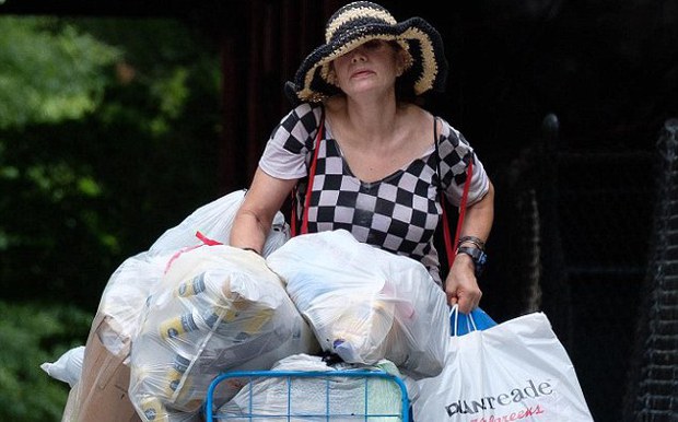 Sự thật bất ngờ về người phụ nữ nhặt ve chai có bằng thạc sĩ, từng là môi giới chứng khoán, sở hữu khối bất động sản trị giá 8 triệu USD-1