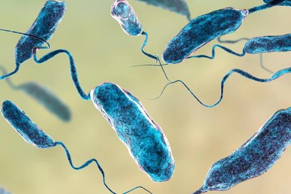 Loại vi khuẩn ăn thịt người đang lây lan tại Mỹ-4