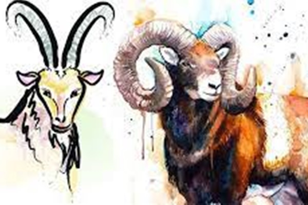 4 tuổi phất lên như vũ bão, xây nhà lầu tậu xe hơi dễ như trở bàn tay trong tháng 8/2022-4