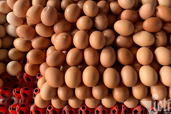 Từ 15/6, giá trứng gà, vịt bình ổn tăng 2.000 đồng/chục-3