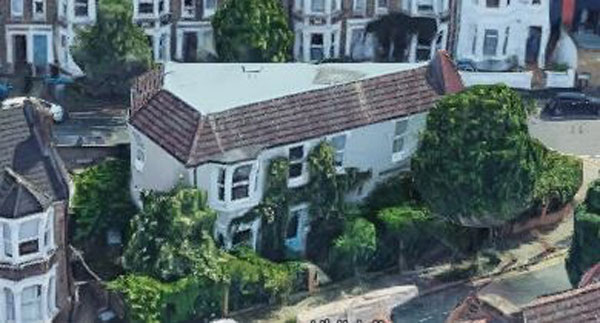 Cặp vợ chồng đâm đơn kiện hàng xóm hơn 7 tỷ chỉ vì bụi cây dại mọc quanh nhà-1