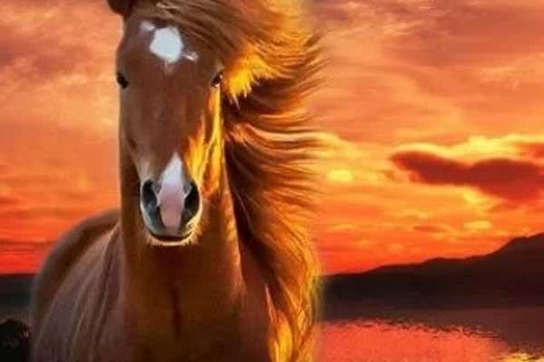 3 tuổi được Thần Phật che chở lấy sạch lộc trời năm 2023 chuyển mình, 2024 sở hữu tiền tỷ nhà lầu xe hơi-2