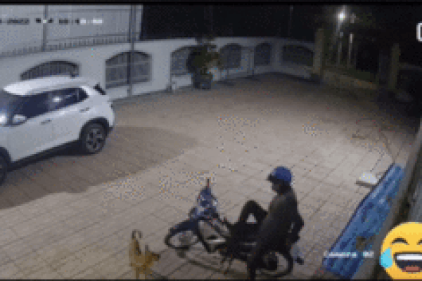 Phát hiện tên trộm định bẻ khoá xe máy, chú chó có thái độ 'câu giờ' khiến nhiều người cười ngất