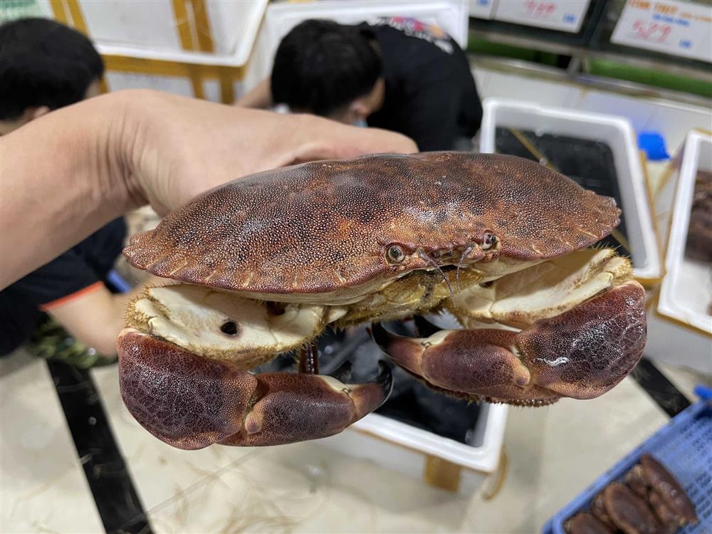 Cua nâu Nauy siêu gạch giá cả phải chăng, gây bão các chợ online khiến chị em chốt đơn không cần nghĩ-6