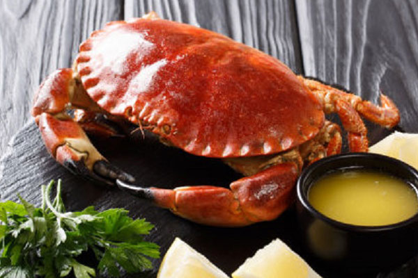 Vì sao cua nâu Nauy siêu to, siêu gạch giá chưa đầy 300.000 đồng/kg?-5