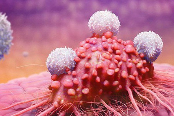 Cơ chế hoạt động của thuốc đầu tiên chữa khỏi ung thư-3