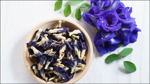 Sai lầm chết người khi dùng hoa đậu biếc làm nước uống-2