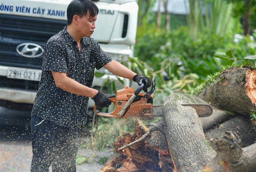 Cây đa trăm tuổi cổ nhất Thủ đô bất ngờ gãy cành, giao thông ùn tắc nghiêm trọng-5
